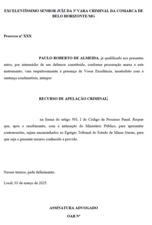 Direito Penal - Seção 05 Apelação Criminal