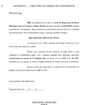 RECURSO DE APELAÇÃO - Seção 04 - Direito Civil e Empresarial