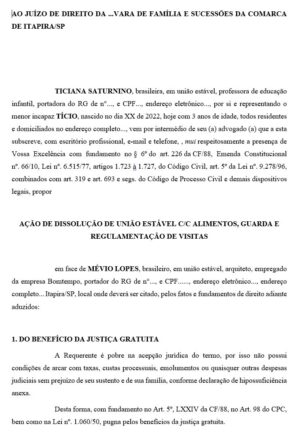 Direito Civil e Empresarial - Seção 03 - Dissolução de União