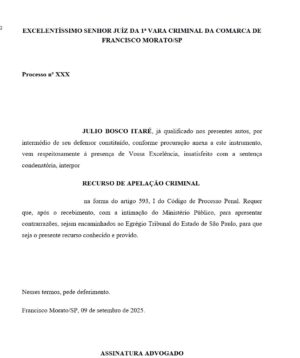 Recurso de Apelação- Seção 04