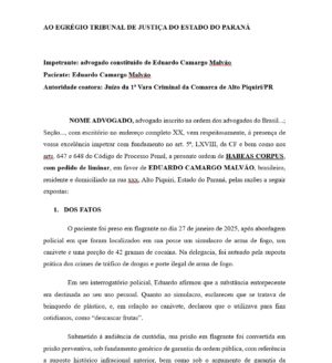Direito Penal - Seção 05 Habeas Corpus