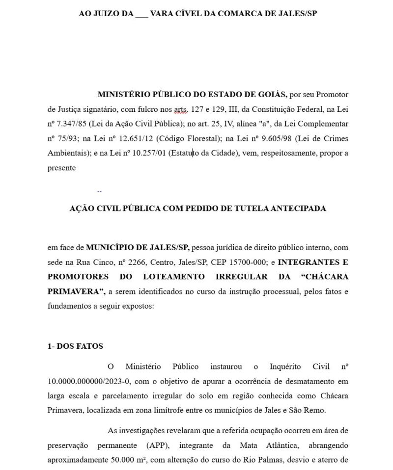 Direito Civil e Empresarial - Seção 06 Ação Civil Pública - Image 2